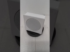 FWS-103 DE MUUR ZET SPREKER OP