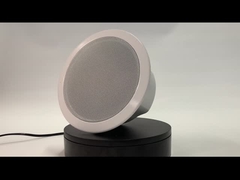 FIP-906 IP POE PLAFONDspreker