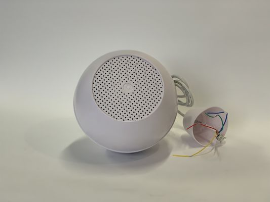 2.5w-5w-10w van de het Systeem Binnenpa van de paspreker de Tegenhangerspreker voor School