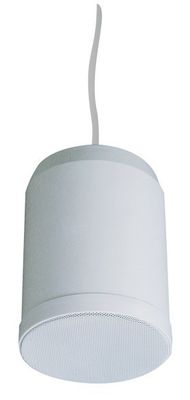 van de de Tegenhangerspreker van 10W 20W Binnen Hangend de PAsysteem