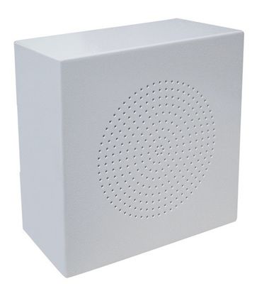 5“ Vuurvaste het plafondspreker van de Plafondspreker 3W- 6W bluetooth