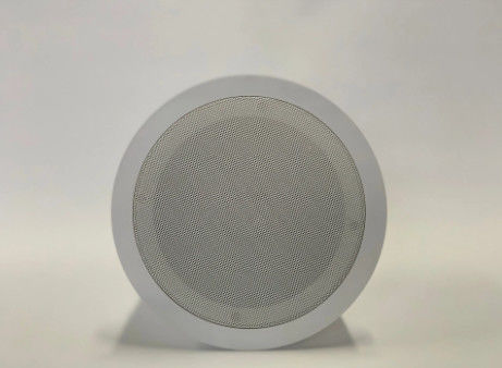 6“ Coaxiaal openbaar het adressysteem van de Plafondspreker